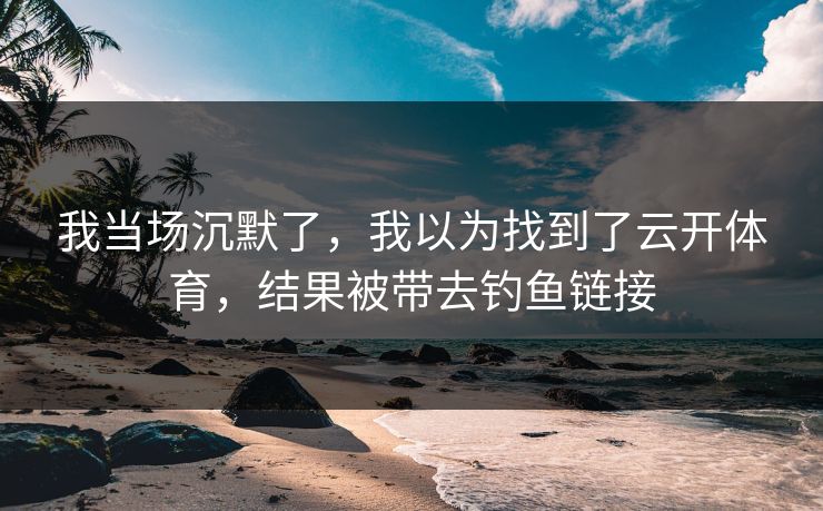 我当场沉默了，我以为找到了云开体育，结果被带去钓鱼链接