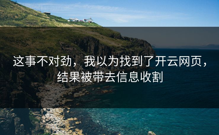 这事不对劲，我以为找到了开云网页，结果被带去信息收割